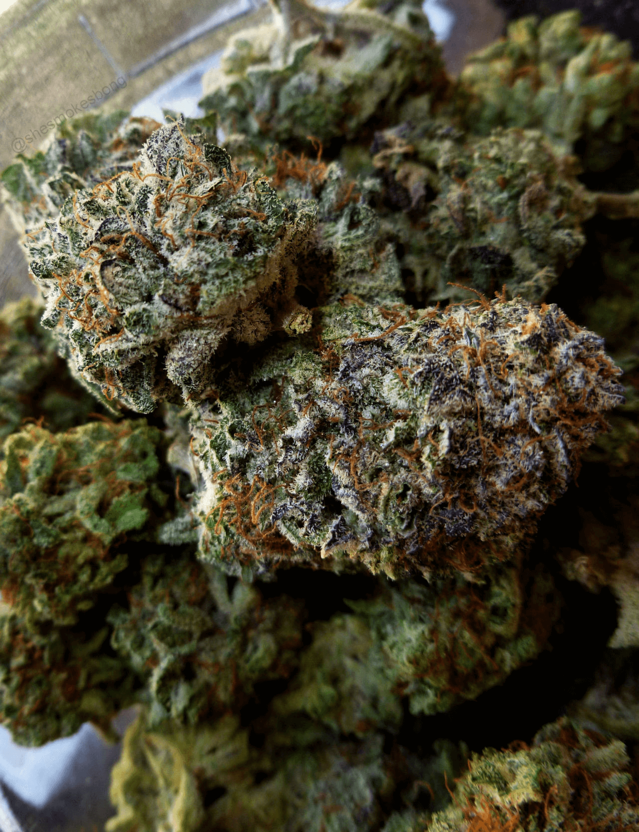 download 2025 12 09T032838.610 1