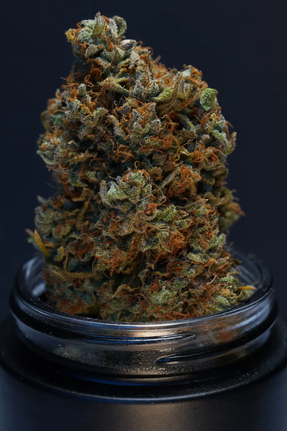 Afghan Kush Jar Shot Oversized Nug