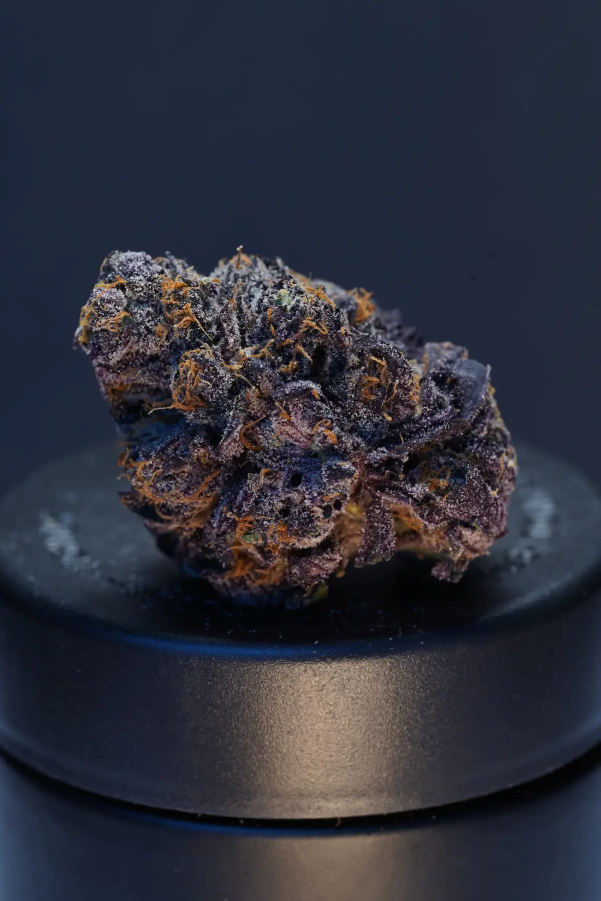 Blue Zoap Product Image