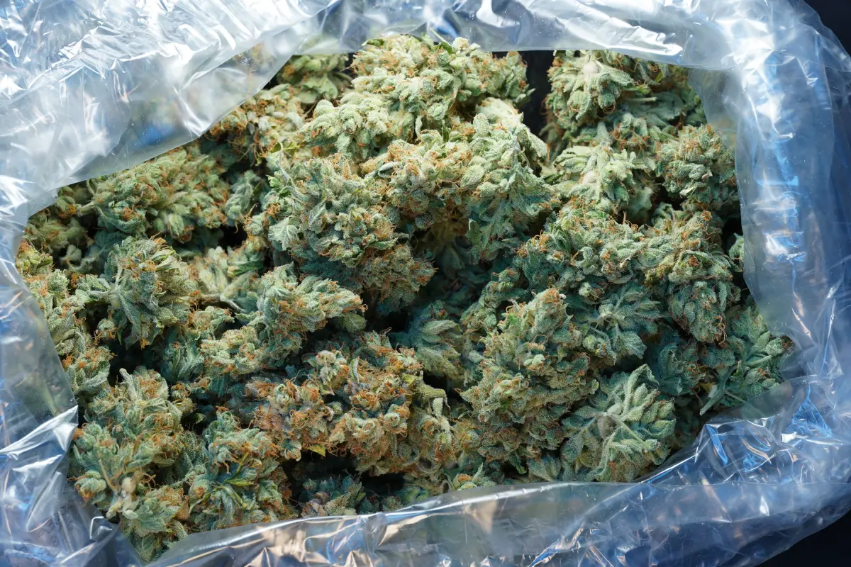 Keresene Candy Bag Shot