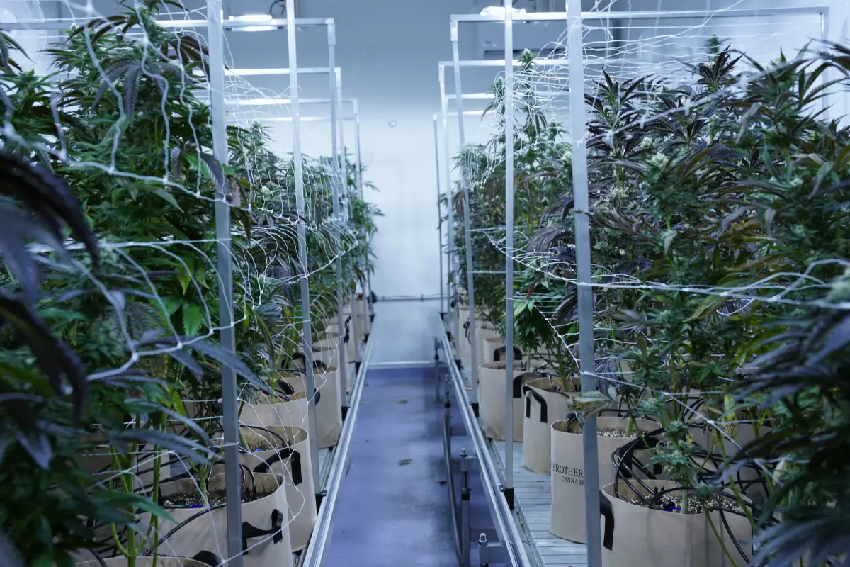 Long Room Middle Shot1