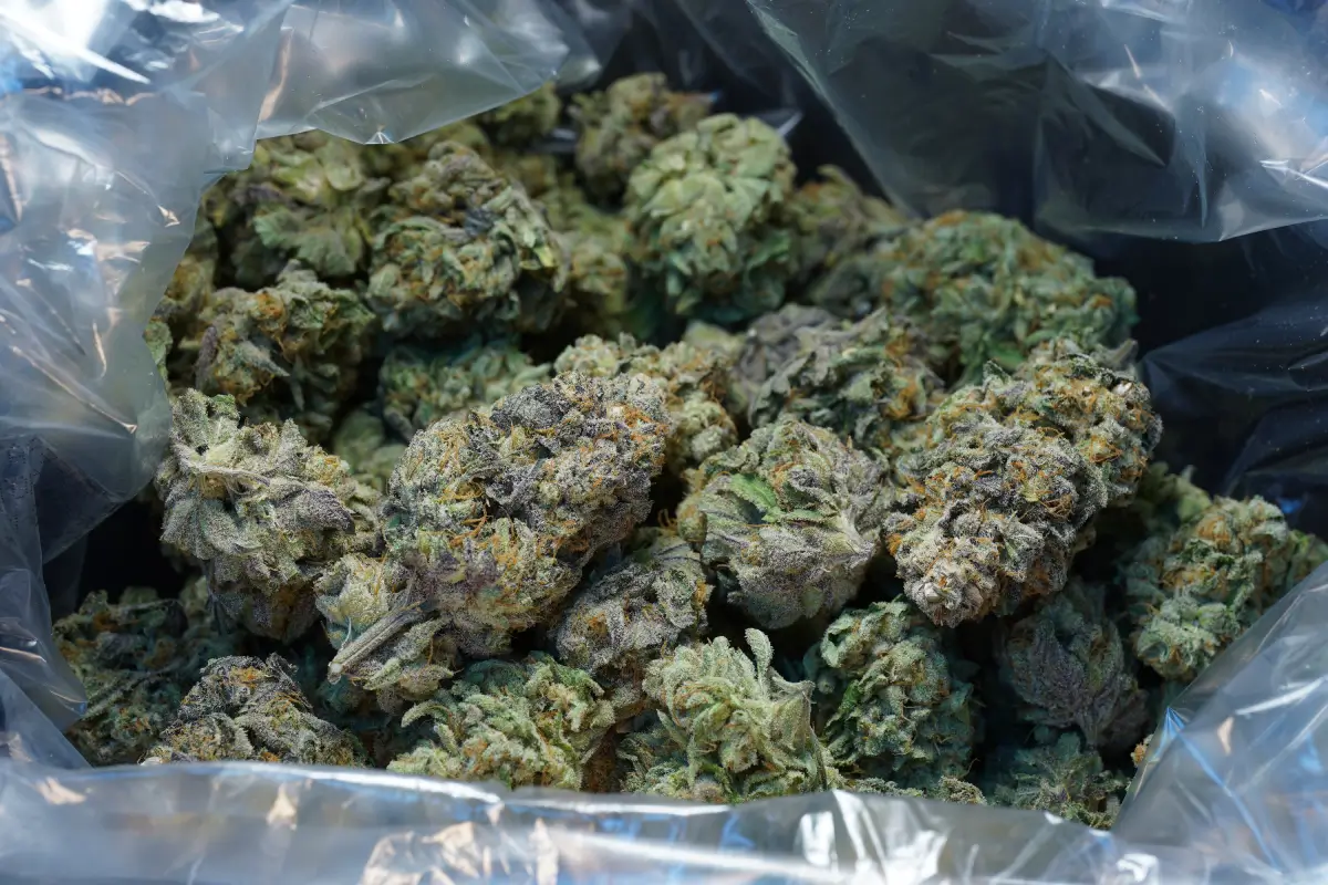 Super Sherb Bag Shot