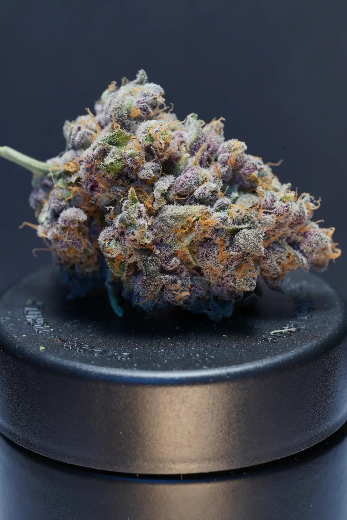 Super Sherb Product Image